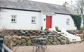 Scott'S Barn
